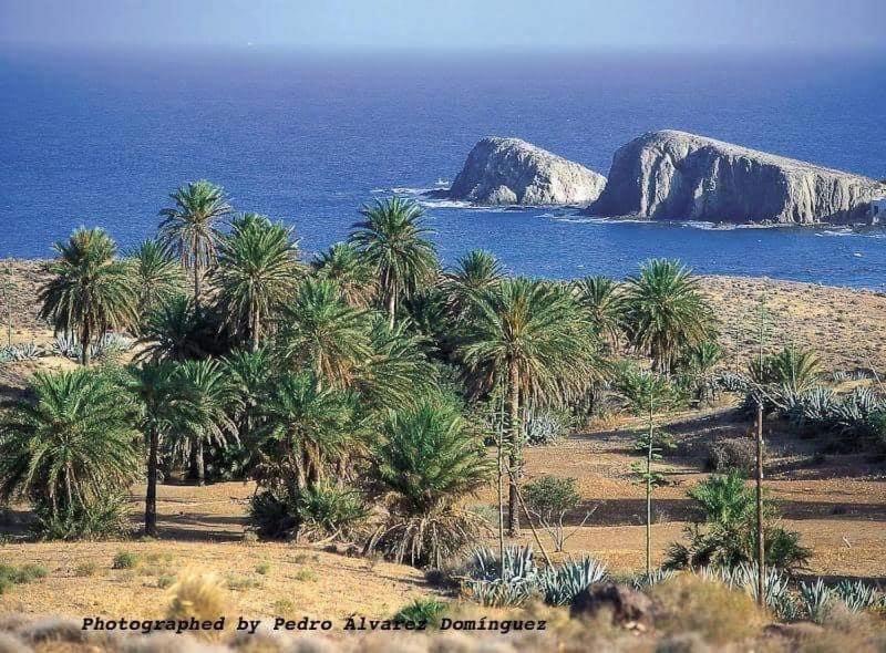 Appartamento isleta del Moro Daniel La Isleta del Moro Esterno foto